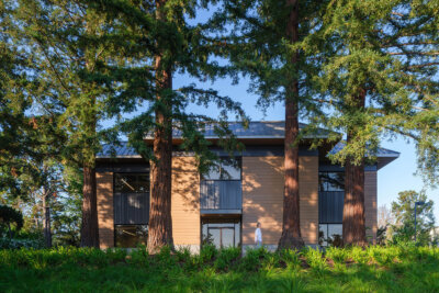 Image of large office building surrounded by redwood trees with person walking.